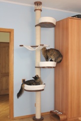 Лонг-3 домики для кошек. 2,7метра