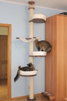 Лонг-3 домики для кошек. 2,5метра