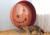Беговое колесо для кошек