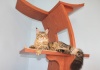 Лотос Мини - домики для кошек. 1,5метра